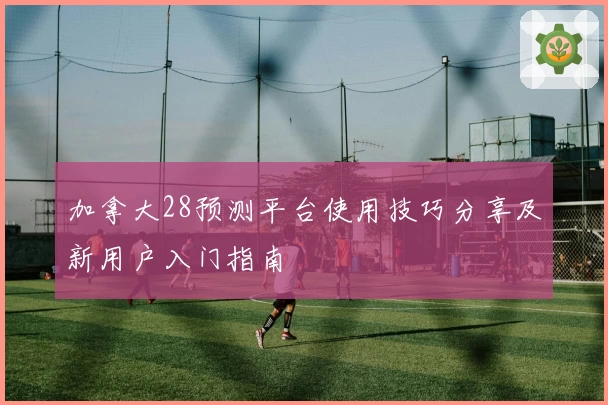 加拿大28预测平台使用技巧分享及新用户入门指南
