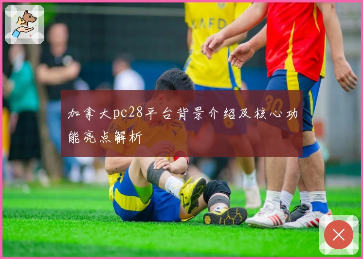 加拿大pc28平台背景介绍及核心功能亮点解析