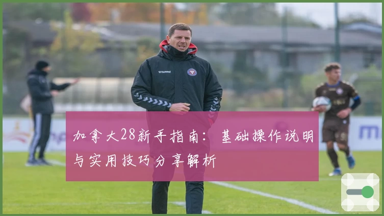 加拿大28新手指南：基础操作说明与实用技巧分享解析