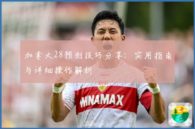 加拿大28预测技巧分享：实用指南与详细操作解析
