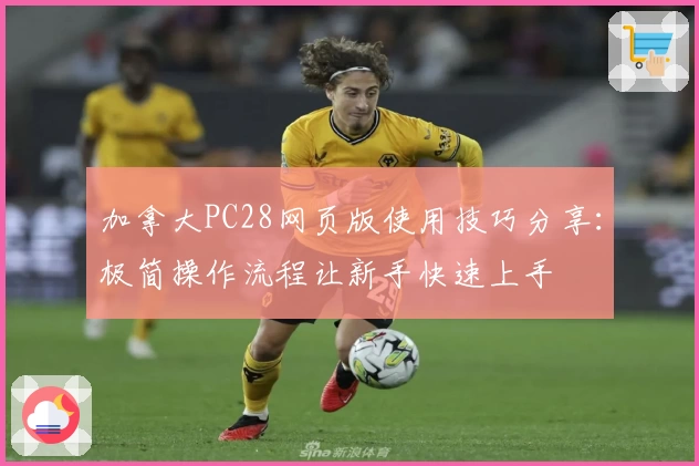 加拿大PC28网页版使用技巧分享：极简操作流程让新手快速上手