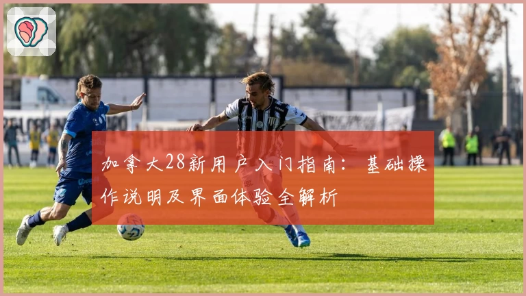 加拿大28新用户入门指南：基础操作说明及界面体验全解析