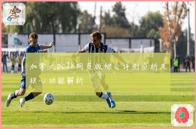 加拿大pc28网页版综合评测分析及核心功能解析