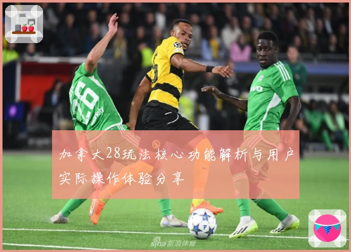 加拿大28玩法核心功能解析与用户实际操作体验分享