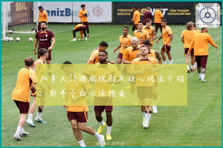 加拿大28游戏规则及核心玩法介绍：新手小白必读指南