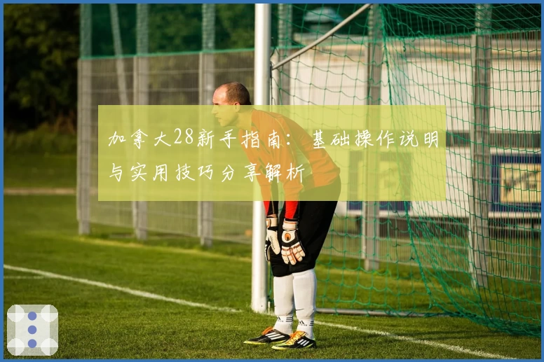 加拿大28新手指南：基础操作说明与实用技巧分享解析